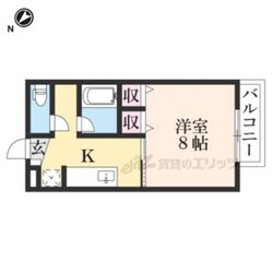 Ａｍｅｎｉｔｙｒｏｏｍの物件間取画像